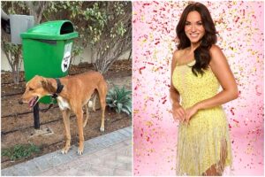 Vicky Pattinson critică proprietarii de animale care își abandonează patrupedele în Dubai