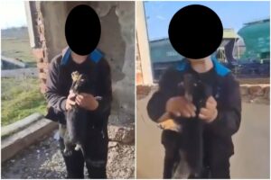 Copil care agresează un pui de câine