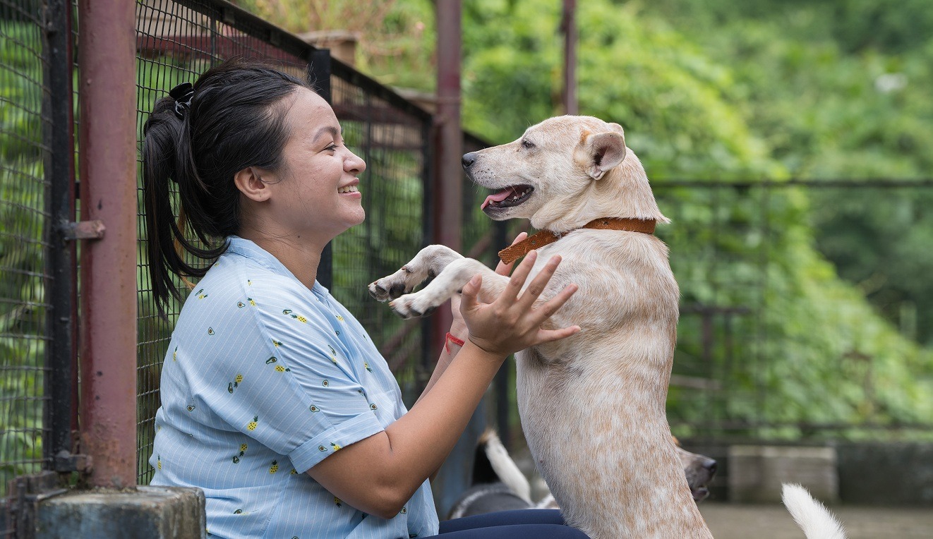 O femeie se joacă cu câinele